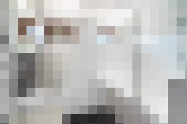 de Regge 25 Woerden thumbnail 17