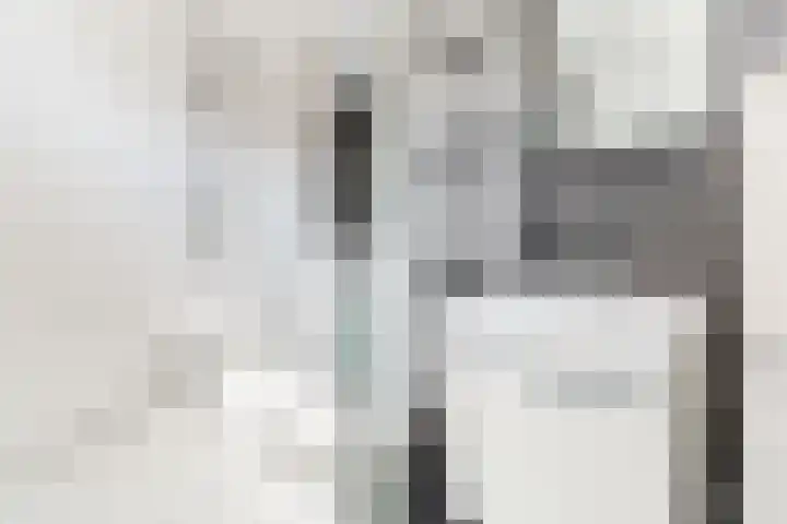 de Regge 25 Woerden thumbnail 18