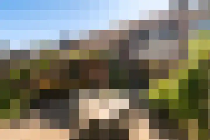 de Regge 25 Woerden thumbnail 23