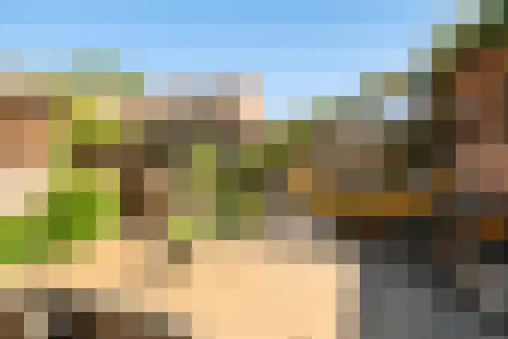 de Regge 25 Woerden thumbnail 24