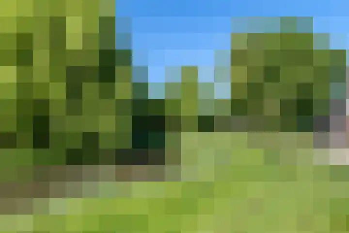 de Regge 25 Woerden thumbnail 28