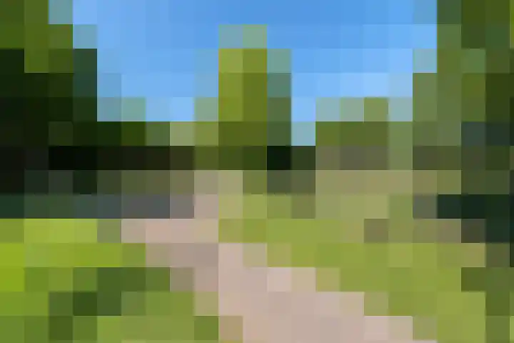 de Regge 25 Woerden thumbnail 29