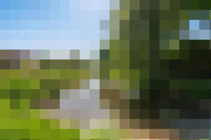 de Regge 25 Woerden thumbnail 30