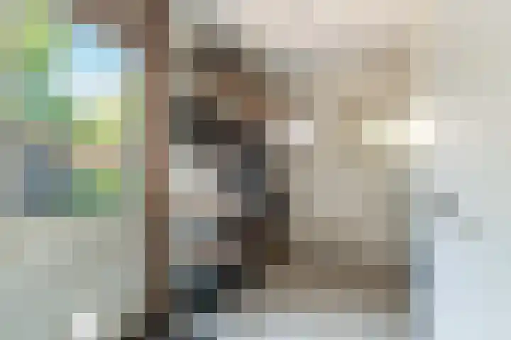 de Regge 25 Woerden thumbnail 8