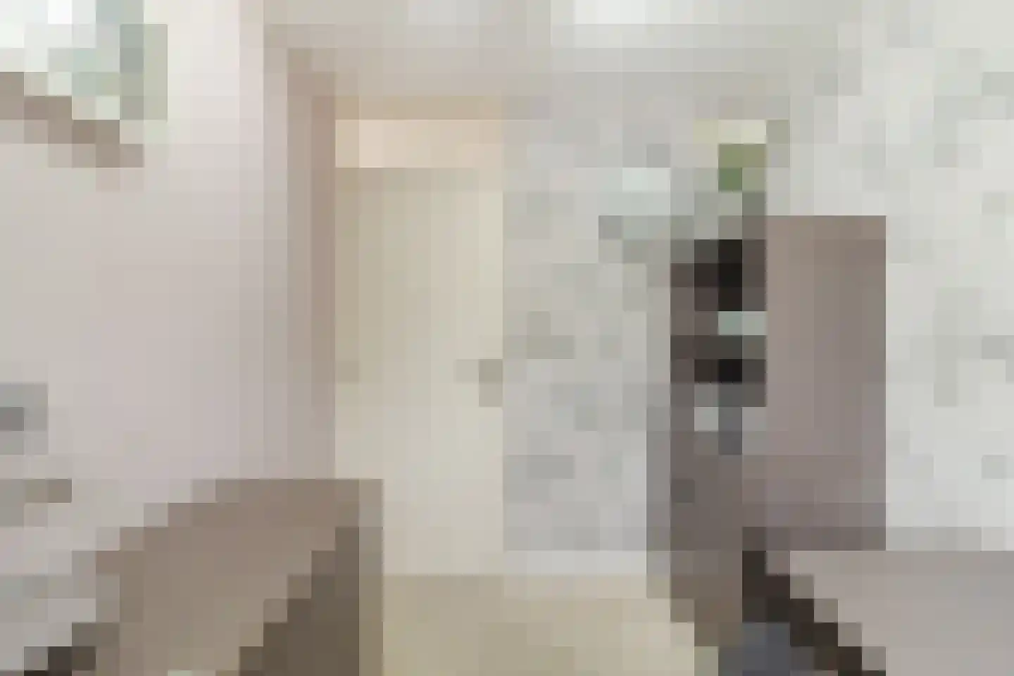 De Regtstraat 4 Abbenes thumbnail 27