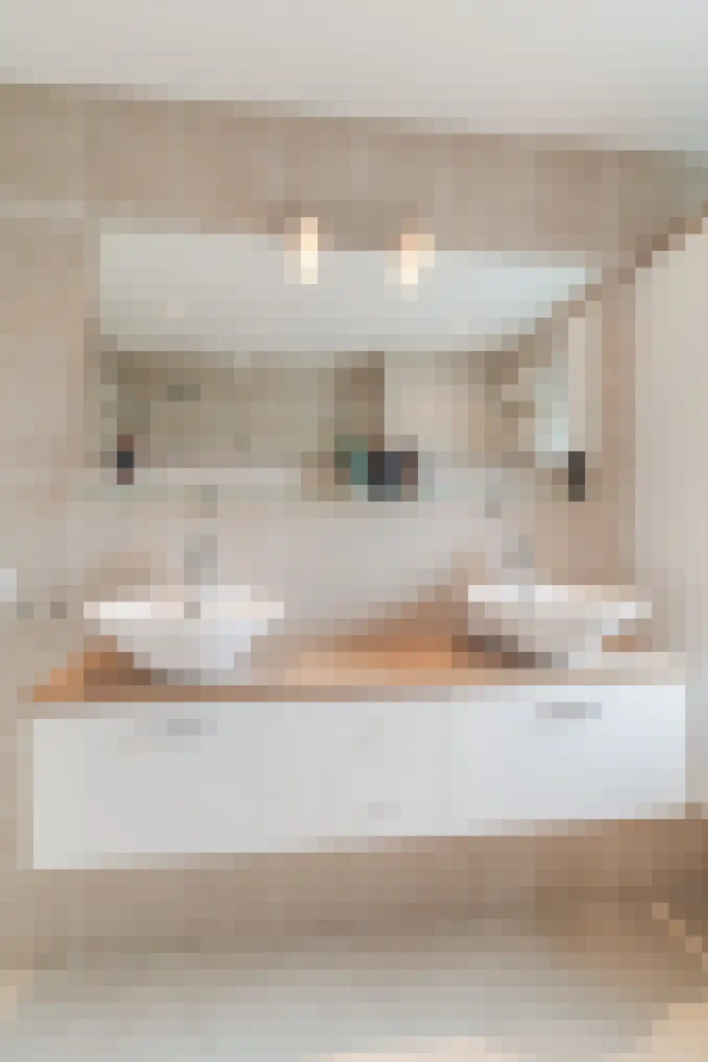 De Regtstraat 4 Abbenes thumbnail 29