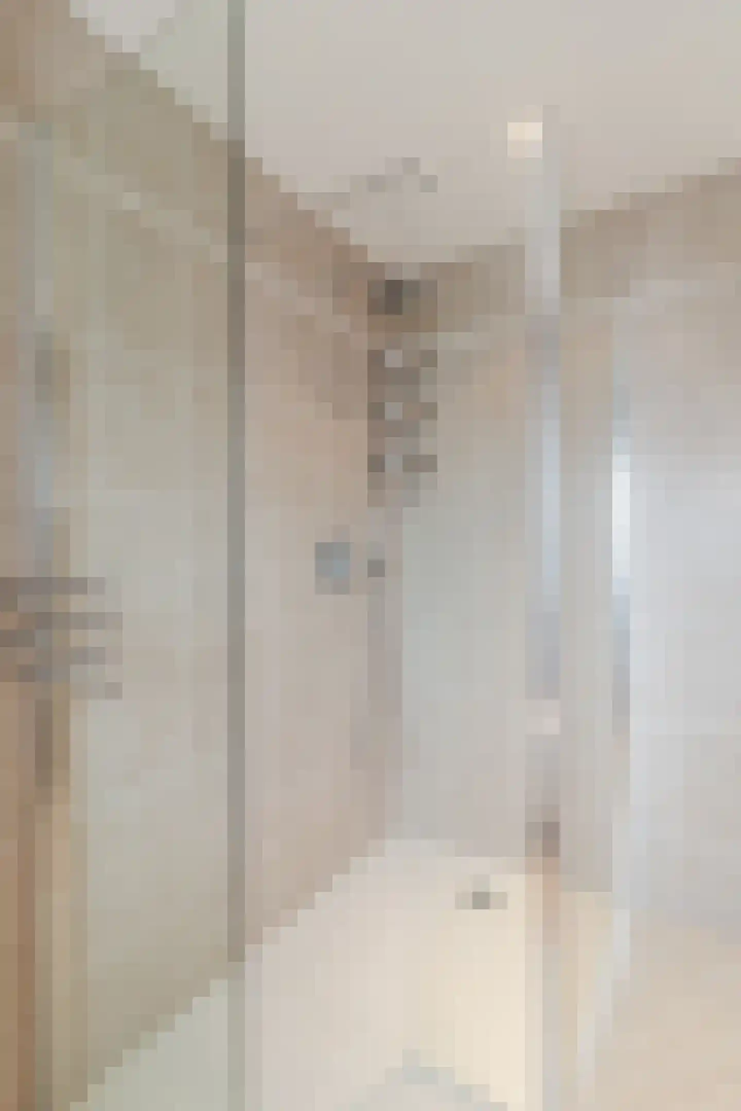 De Regtstraat 4 Abbenes thumbnail 30