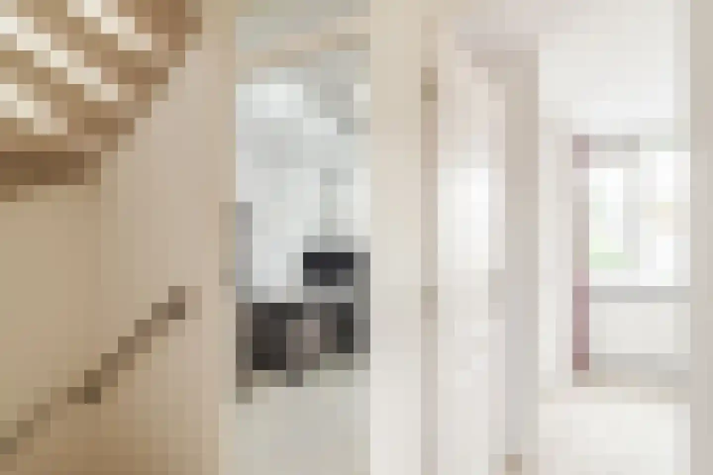 De Regtstraat 4 Abbenes thumbnail 31