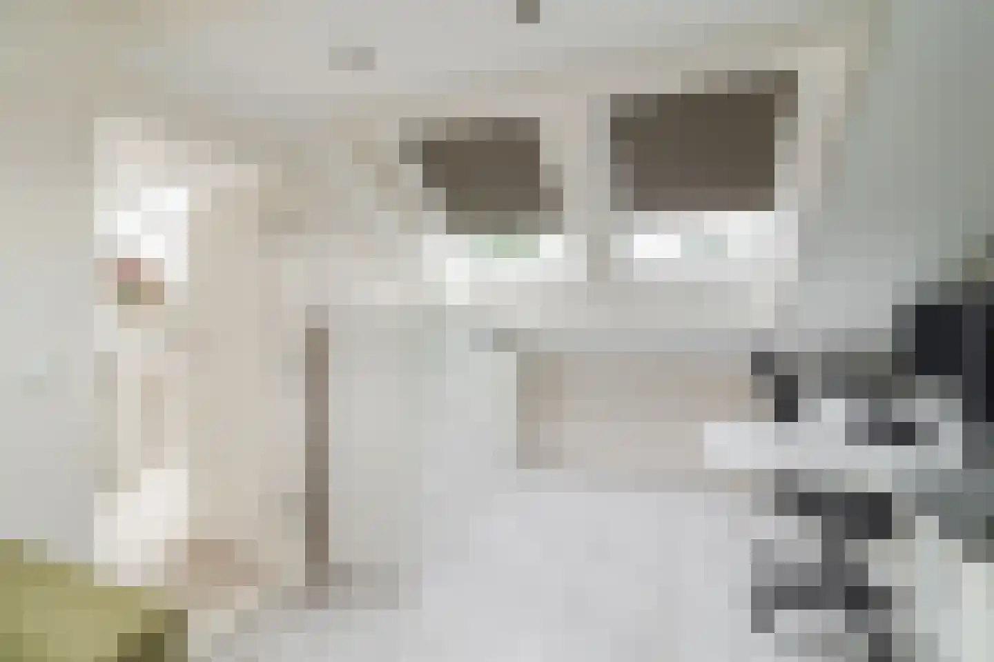 De Regtstraat 4 Abbenes thumbnail 35