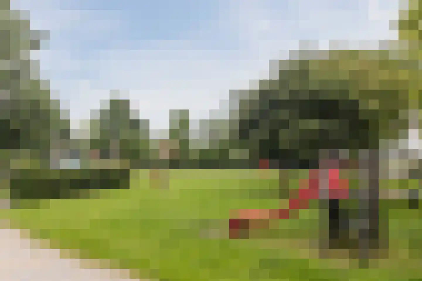 De Regtstraat 4 Abbenes thumbnail 47
