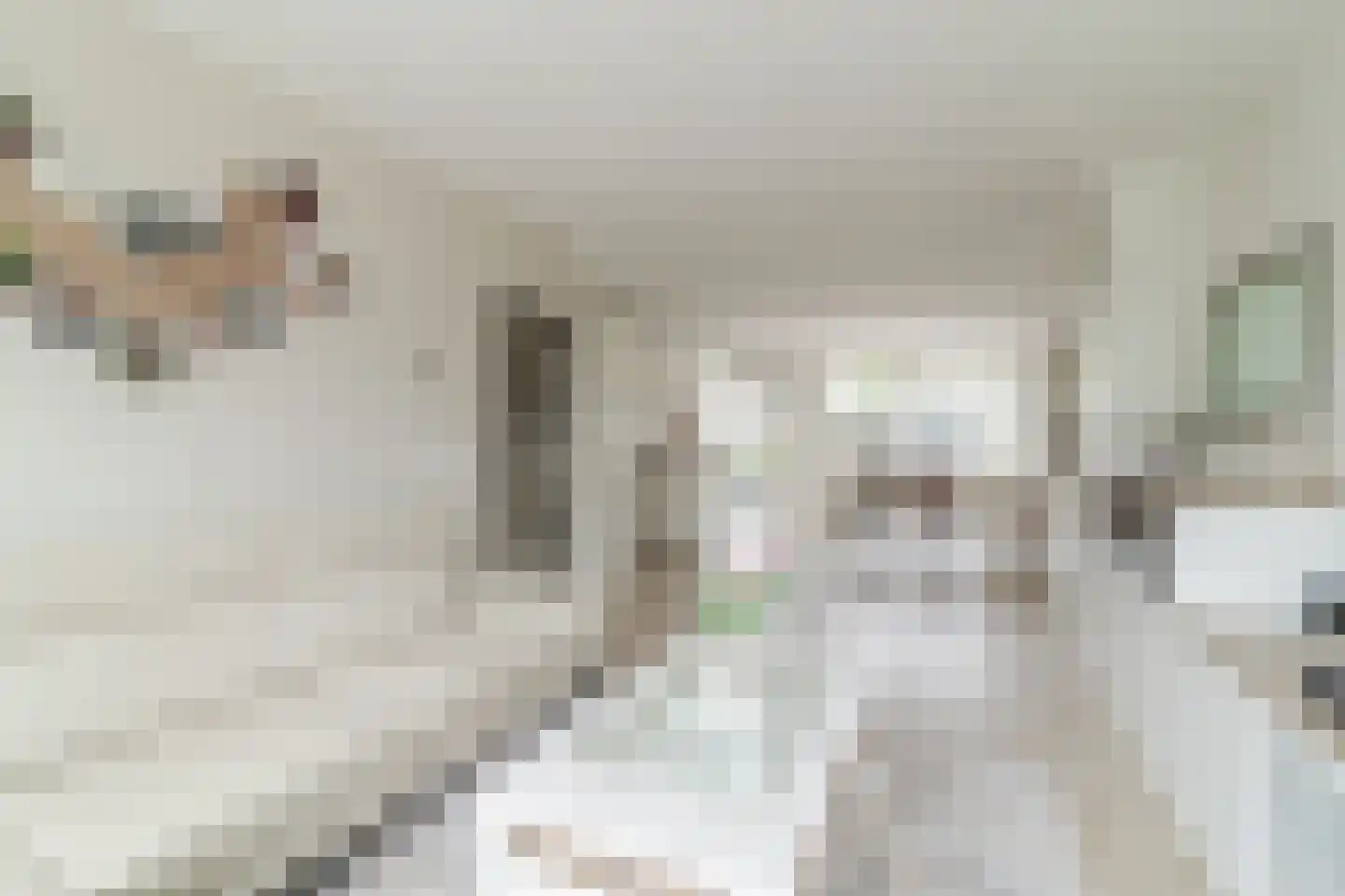 De Regtstraat 4 Abbenes thumbnail 7