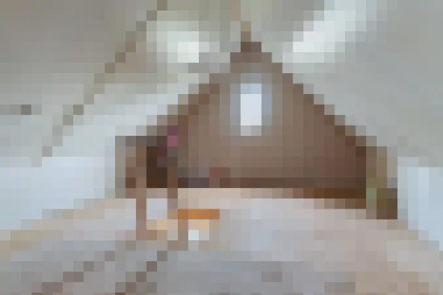 De Reiden 21 Twijzelerheide thumbnail 30