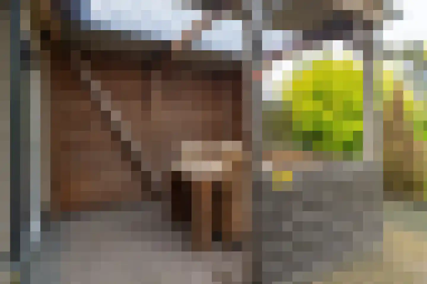 De Reiden 21 Twijzelerheide thumbnail 35