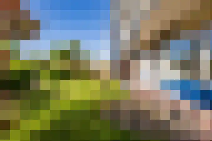 De Reiger 106 Hoogeveen thumbnail 20