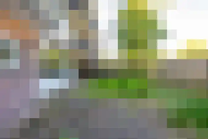 De Reiger 106 Hoogeveen thumbnail 22