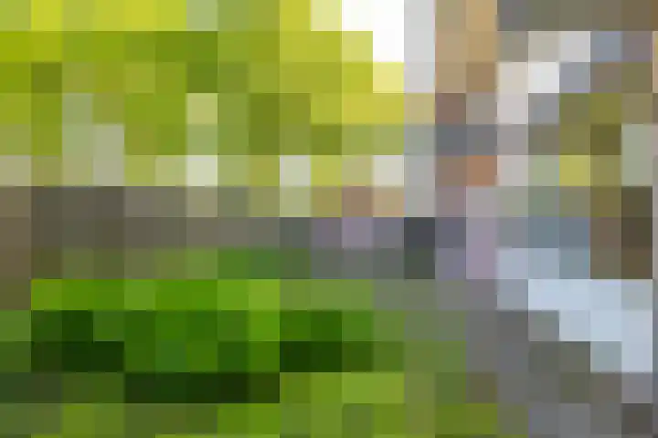 De Reiger 106 Hoogeveen thumbnail 24
