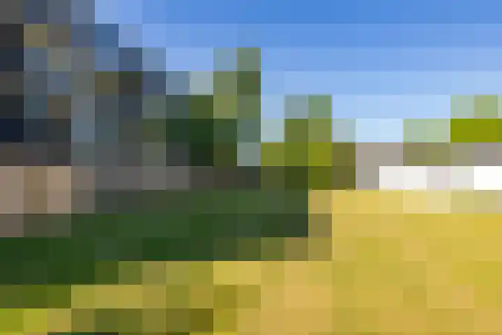 De Reiger 106 Hoogeveen thumbnail 26