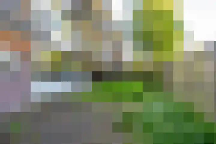 De Reiger 106 Hoogeveen thumbnail 4