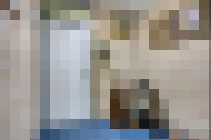 De Reiger 12 Elburg thumbnail 12