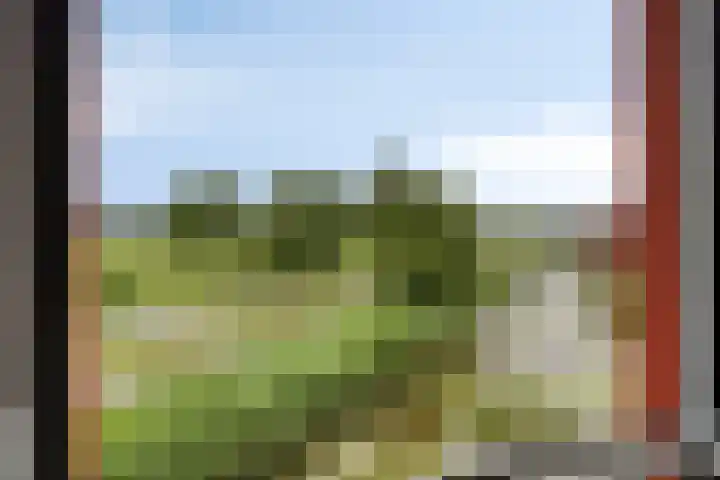 De Reiger 12 Elburg thumbnail 39