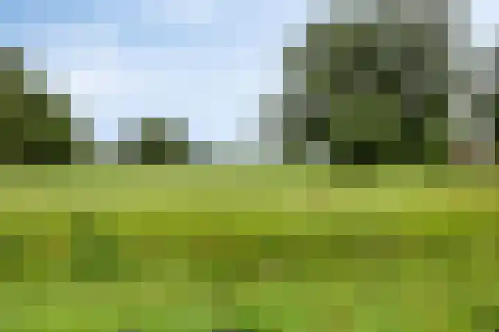 De Reiger 12 Elburg thumbnail 40