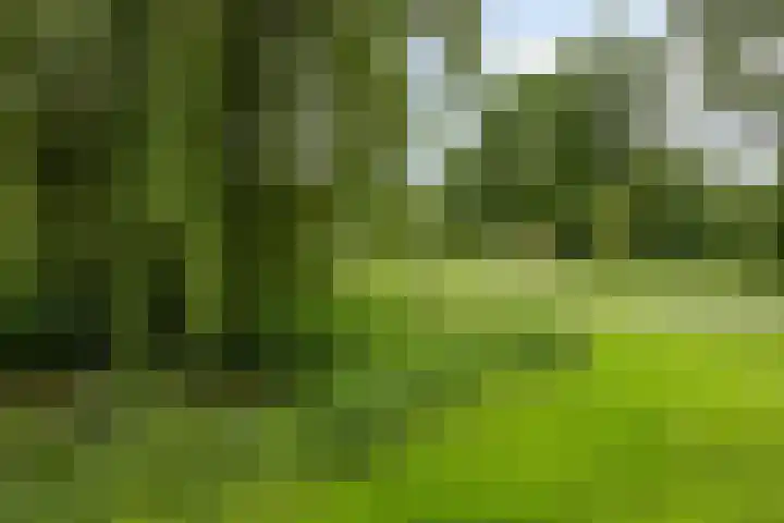 De Reiger 12 Elburg thumbnail 41