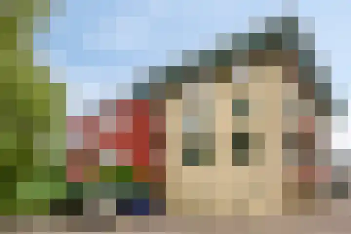 De Reiger 12 Elburg thumbnail 8