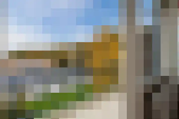 De Reiger 150 Hoogeveen thumbnail 37