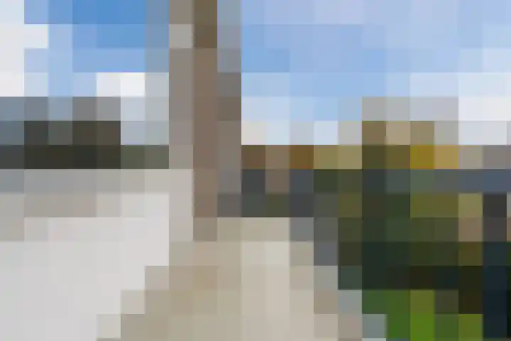 De Reiger 150 Hoogeveen thumbnail 39