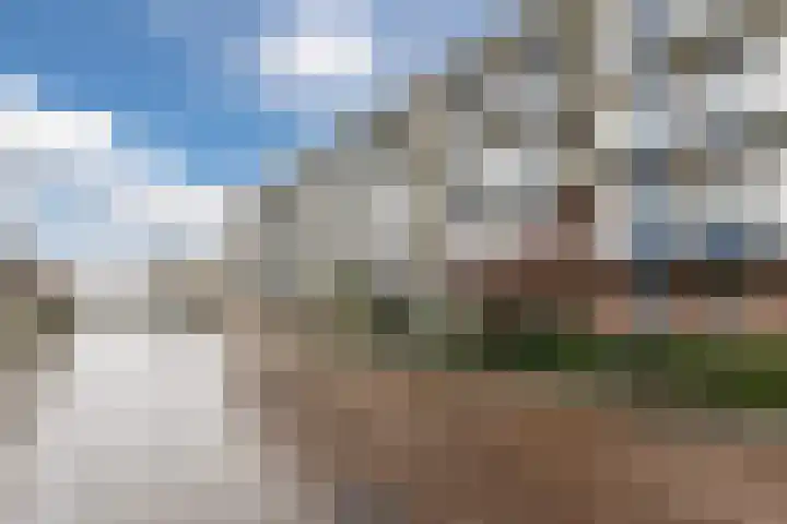 De Reiger 150 Hoogeveen thumbnail 41