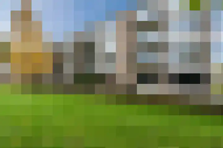 De Reiger 150 Hoogeveen thumbnail 42