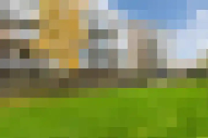 De Reiger 150 Hoogeveen thumbnail 43