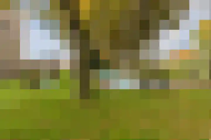 De Reiger 150 Hoogeveen thumbnail 44
