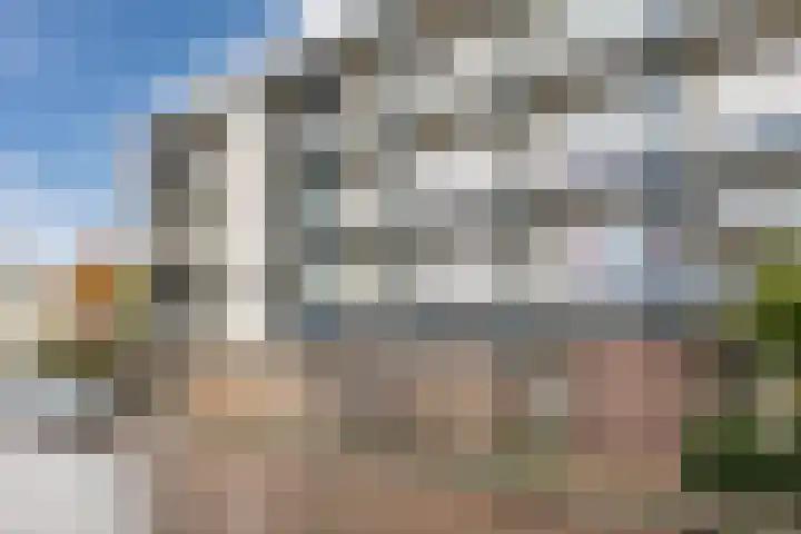 De Reiger 150 Hoogeveen thumbnail 5