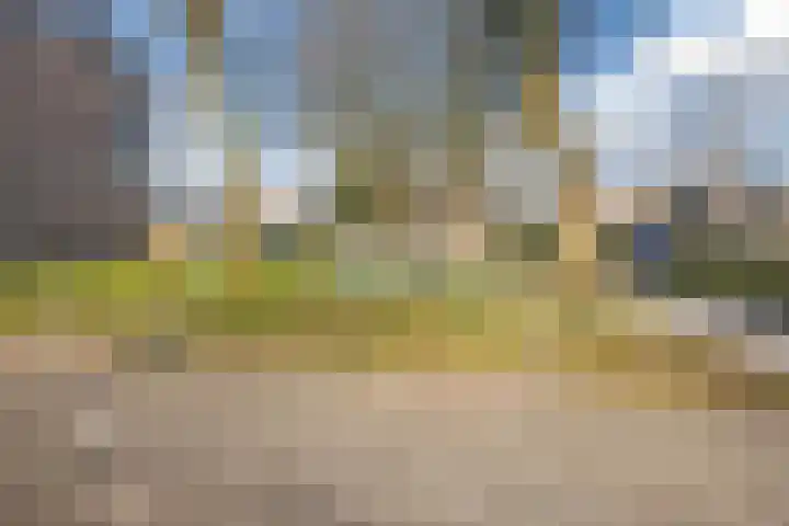 De Reiger 171 Hoogeveen thumbnail 34