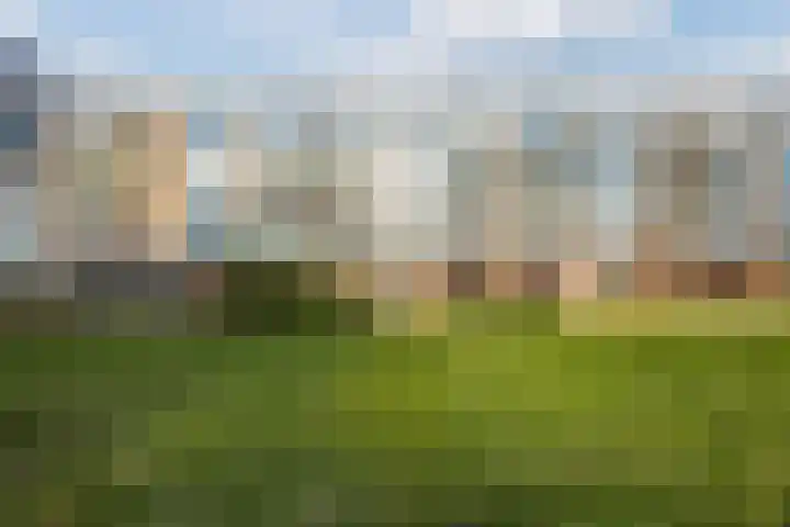De Reiger 171 Hoogeveen thumbnail 35
