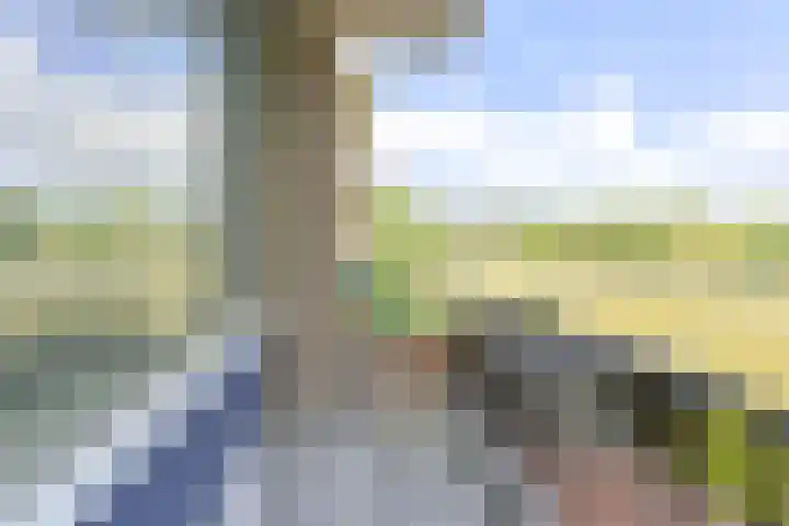 De Reiger 175 Hoogeveen thumbnail 30