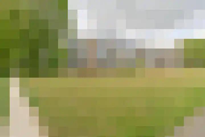 De Reiger 175 Hoogeveen thumbnail 32