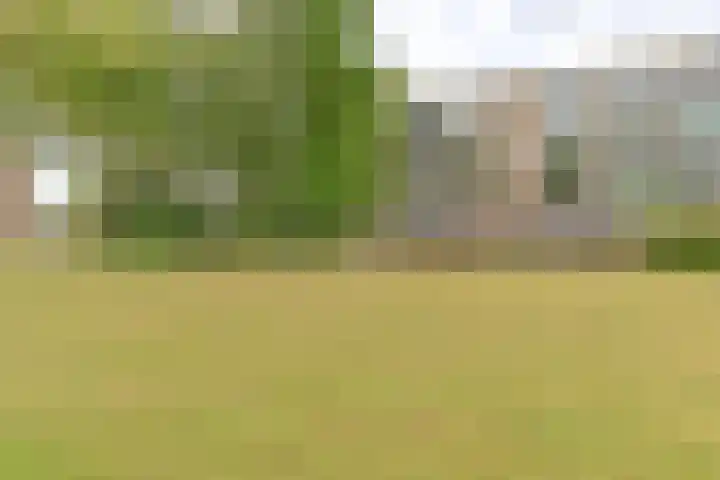 De Reiger 175 Hoogeveen thumbnail 33