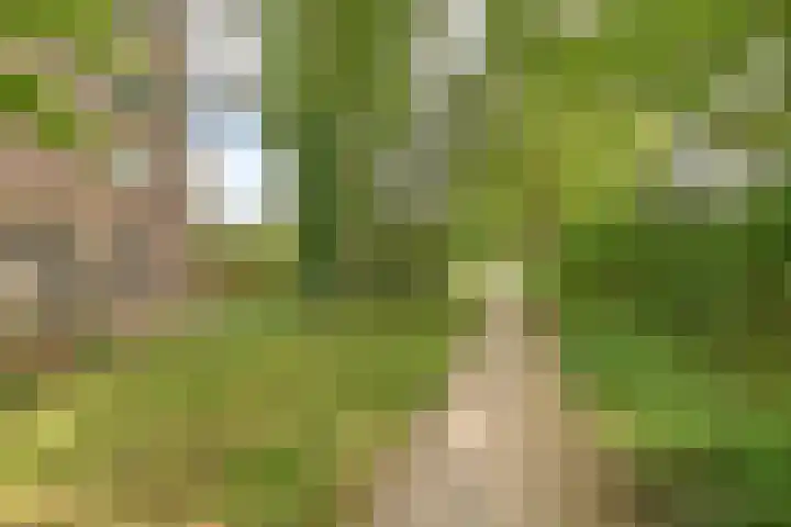 De Reiger 175 Hoogeveen thumbnail 34