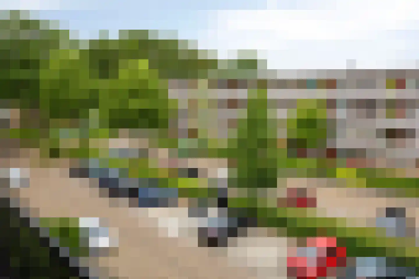 De Reiger 193 Hoogeveen thumbnail 10