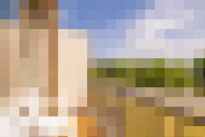 De Reiger 201 Hoogeveen thumbnail 13