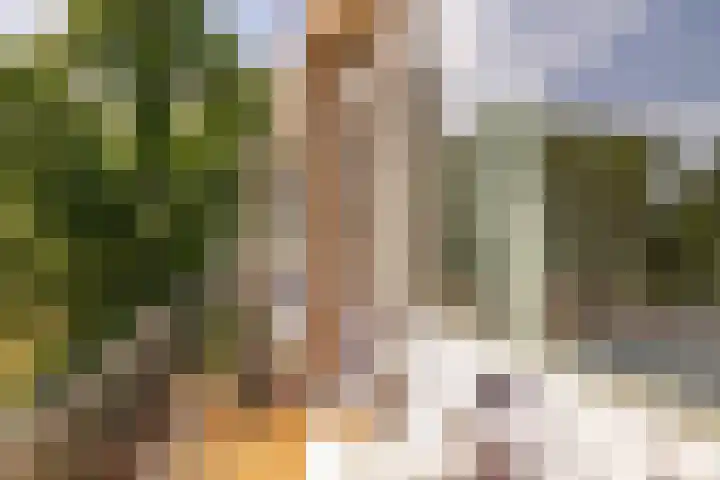 De Reiger 201 Hoogeveen thumbnail 14