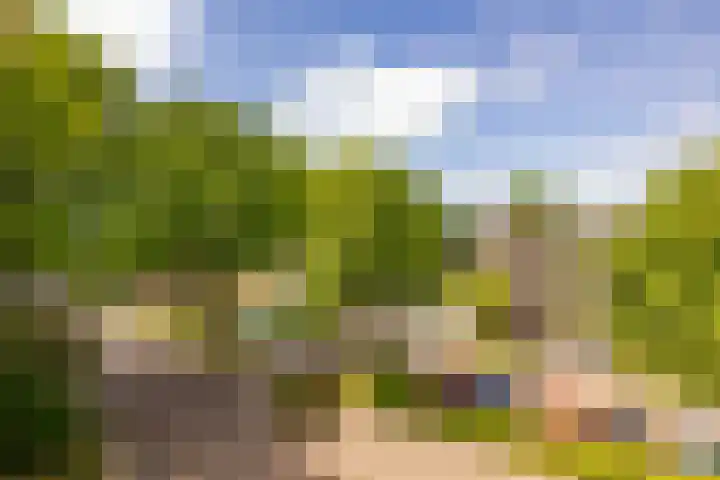 De Reiger 201 Hoogeveen thumbnail 27