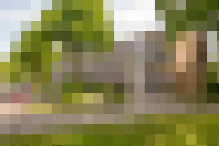 De Reiger 201 Hoogeveen thumbnail 37