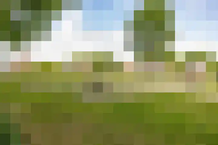 De Reiger 201 Hoogeveen thumbnail 38