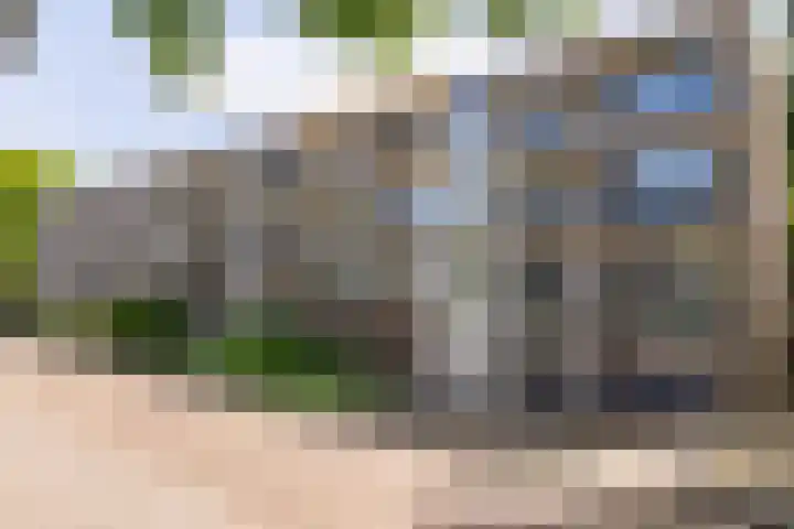 De Reiger 201 Hoogeveen thumbnail 4