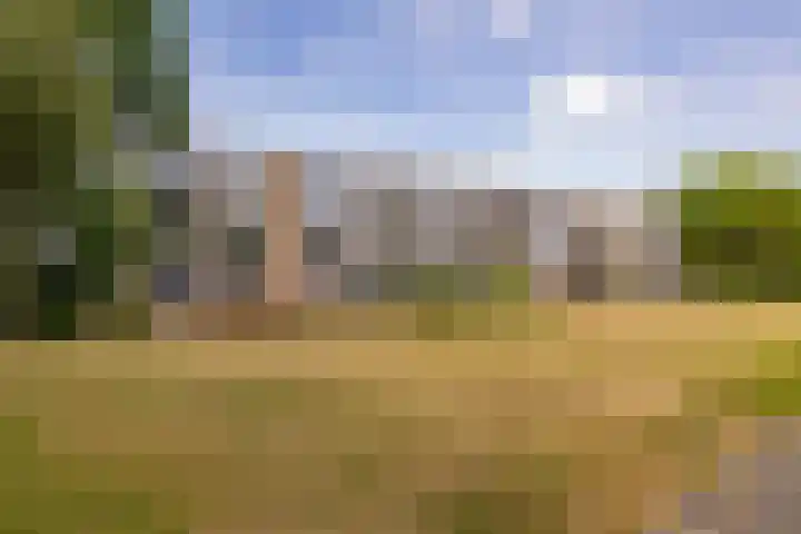 De Reiger 201 Hoogeveen thumbnail 40