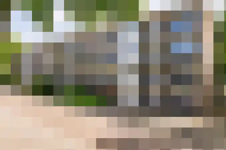 De Reiger 201 Hoogeveen thumbnail 42