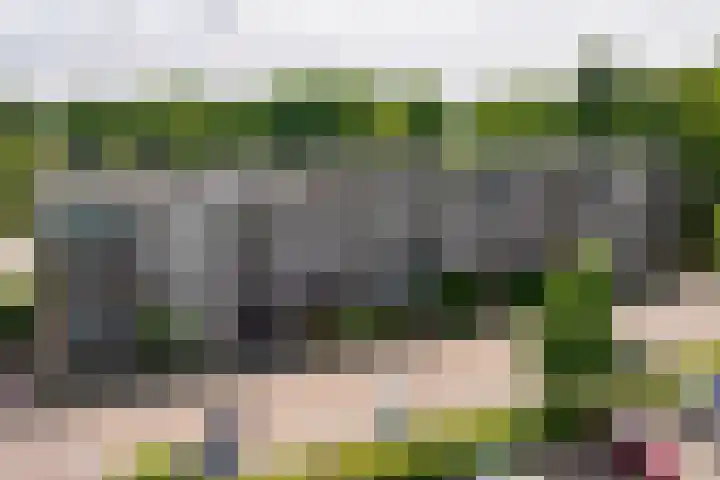De Reiger 201 Hoogeveen thumbnail 45